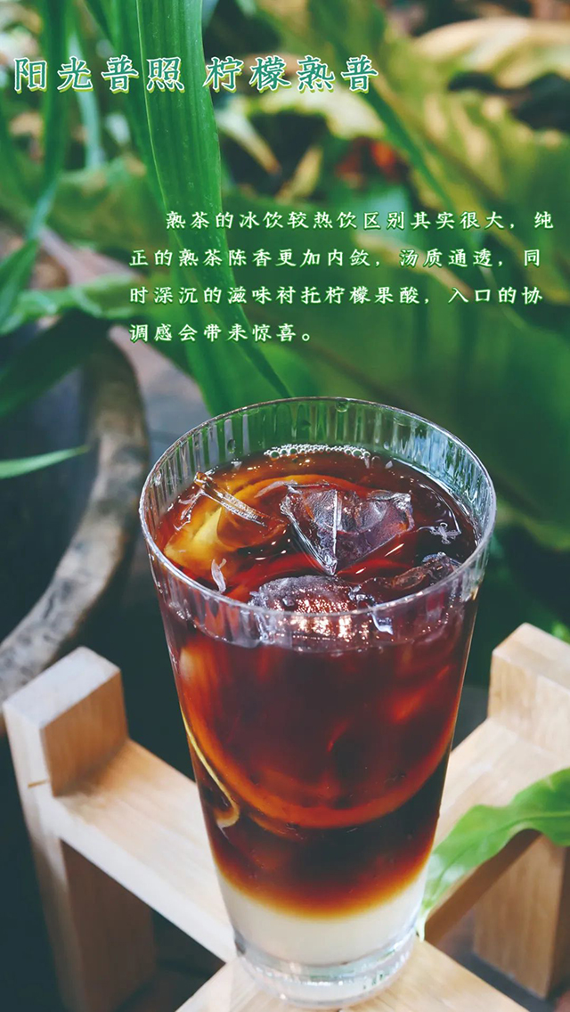 普洱杂志