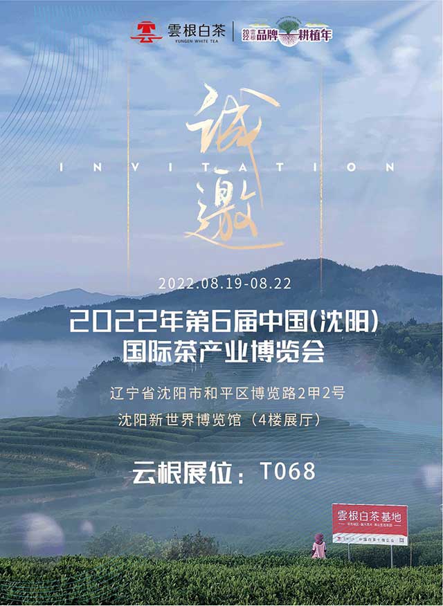 云根白茶品牌与沈阳茶博会