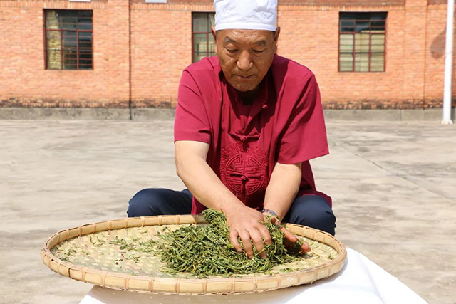 董事长李正行和龙园茶友在西双版纳龙园千亩古茶林中