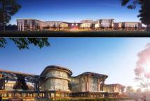 勐海茶厂新区建设项目举行开工仪式：大益总投资10.2亿元
