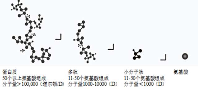 云南农业大学李家华一年一味