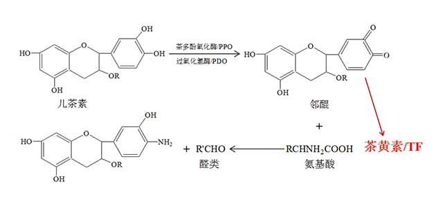 云南农业大学李家华一年一味