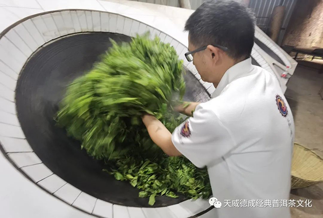 天威德成2022年老班章古树纯料普洱茶