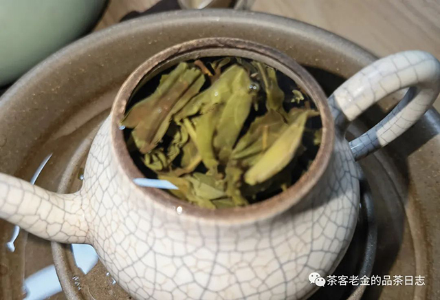 栩月古茶2022年弯弓普洱茶