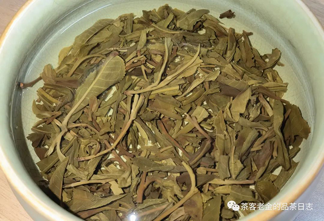 栩月古茶2022年弯弓普洱茶