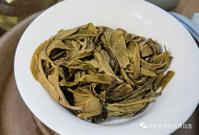 困鹿山制茶人2021年老班章拼配普洱茶