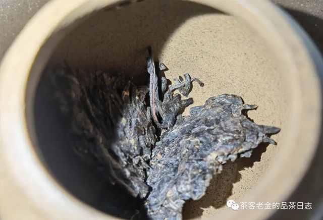 苦行茶僧2020年我的冰岛普洱茶