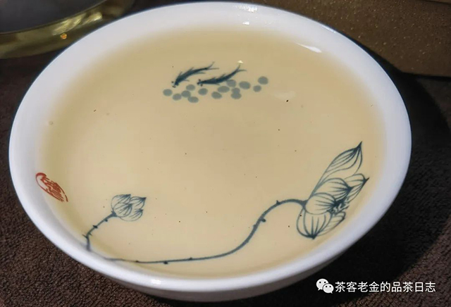 苦行茶僧2020年我的冰岛普洱茶