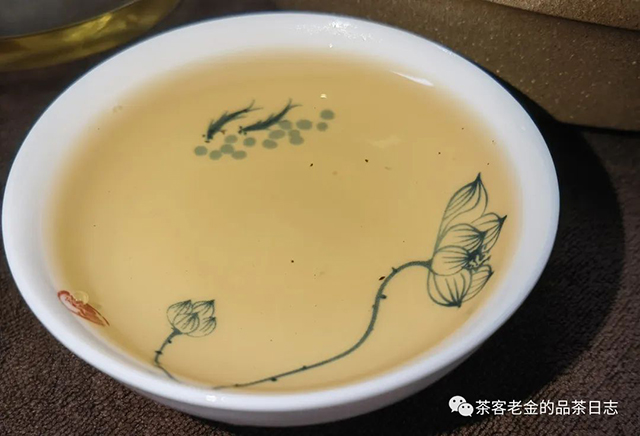 苦行茶僧2020年我的冰岛普洱茶