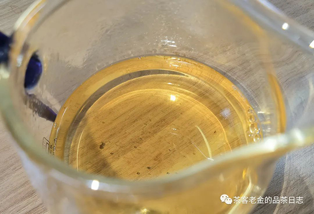 苦行茶僧2020年我的冰岛普洱茶