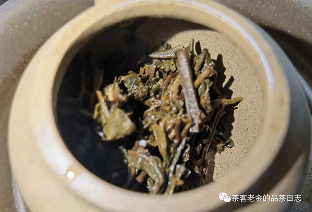 苦行茶僧2020年我的冰岛普洱茶