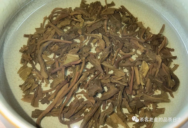 苦行茶僧2020年我的冰岛普洱茶