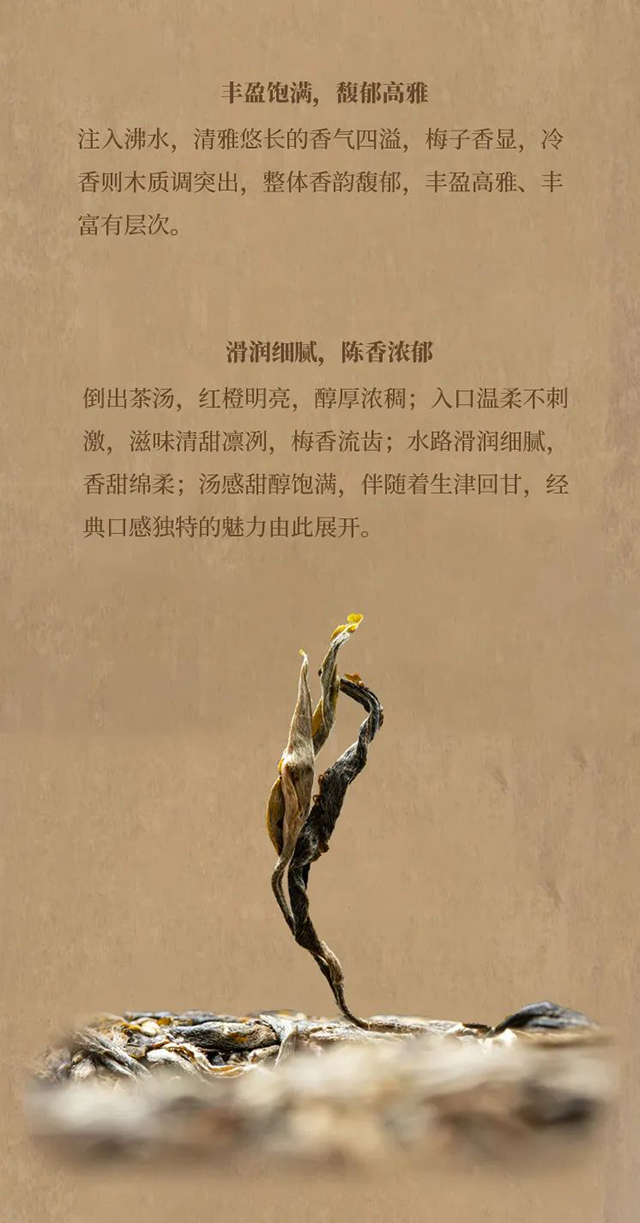 津乔叁伍柒