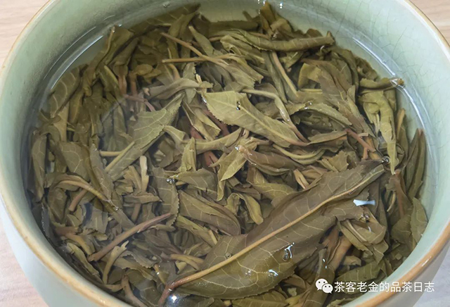 老爷说不将就2022年磨烈普洱茶