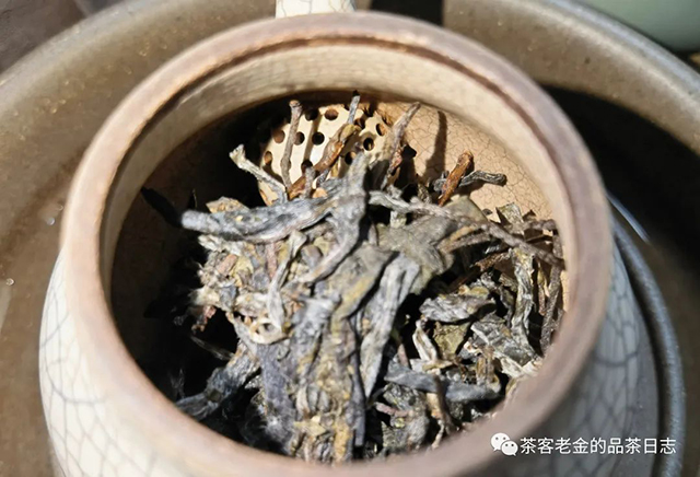 茶人壹树枼2022年一品奇株普洱茶