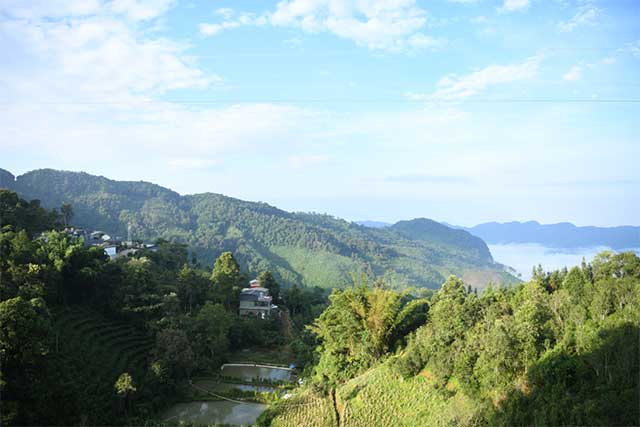 漫撒茶山行纪