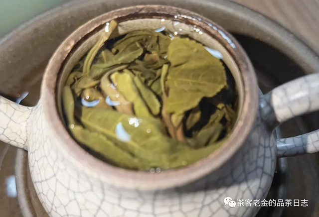 茶人壹树枼2022年一品高杆普洱茶