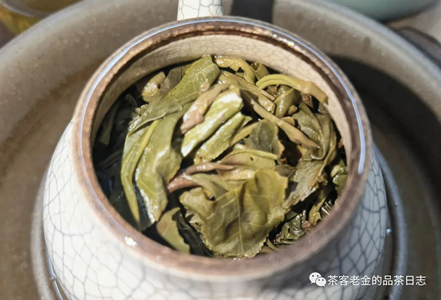 茶人壹树枼2022年一品高杆普洱茶