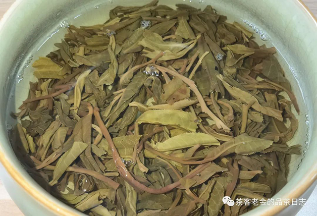 茶人壹树枼2022年一品高杆普洱茶