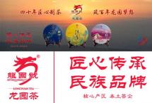 【龙园普洱】龙园号精品赏析（三十五）