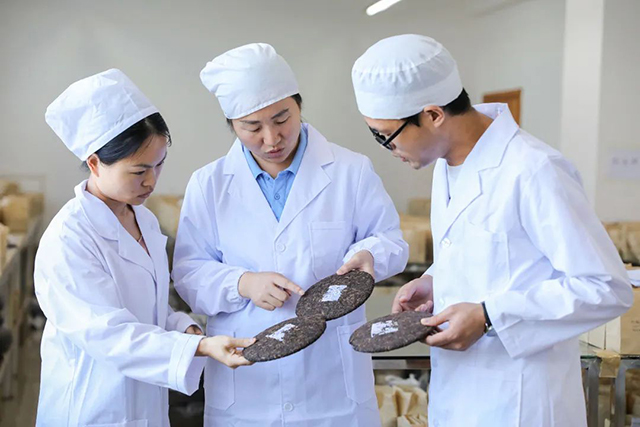 大益十年科技创新发展之路
