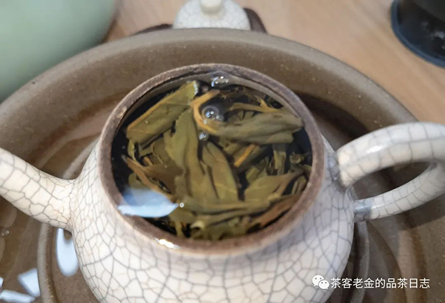 晓茶2022年狂草普洱茶