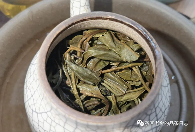 晓茶2022年狂草普洱茶