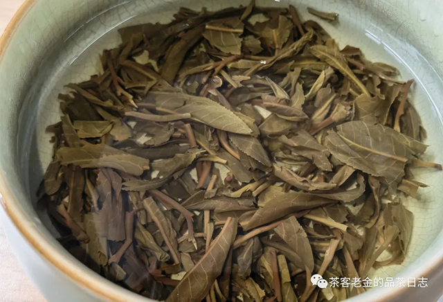 晓茶2022年狂草普洱茶