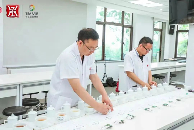 中茶杯国际鼎承茶王赛