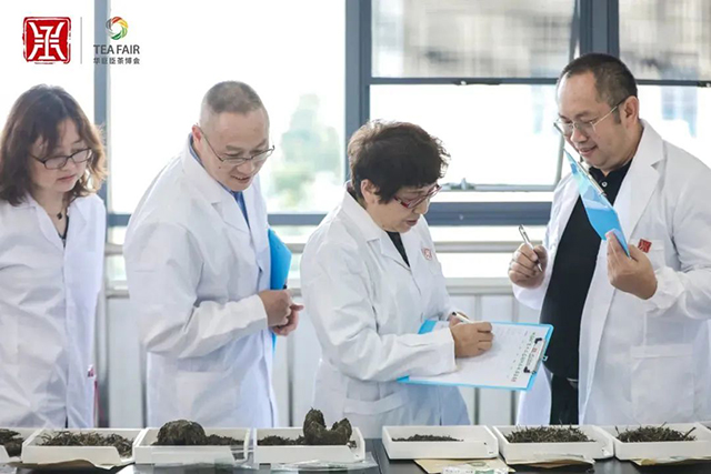 中茶杯国际鼎承茶王赛