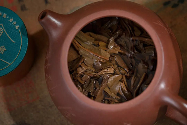 老茶好仓金色韵象普洱茶