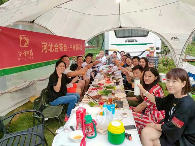 河北地区普洱茶推广先行者张涛