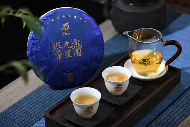 龙园号普洱茶精品赏析龙园九星班章生普王者风范