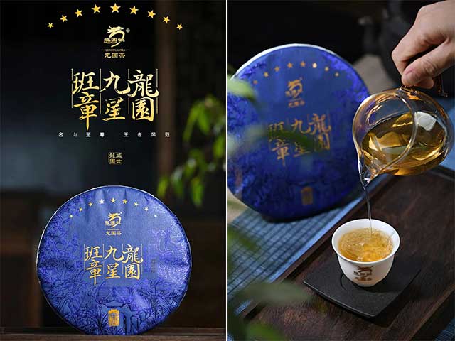 龙园号普洱茶精品赏析龙园九星班章生普王者风范