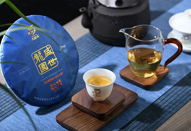 龙园号普洱茶精品赏析盛世龙园生普10大名茶