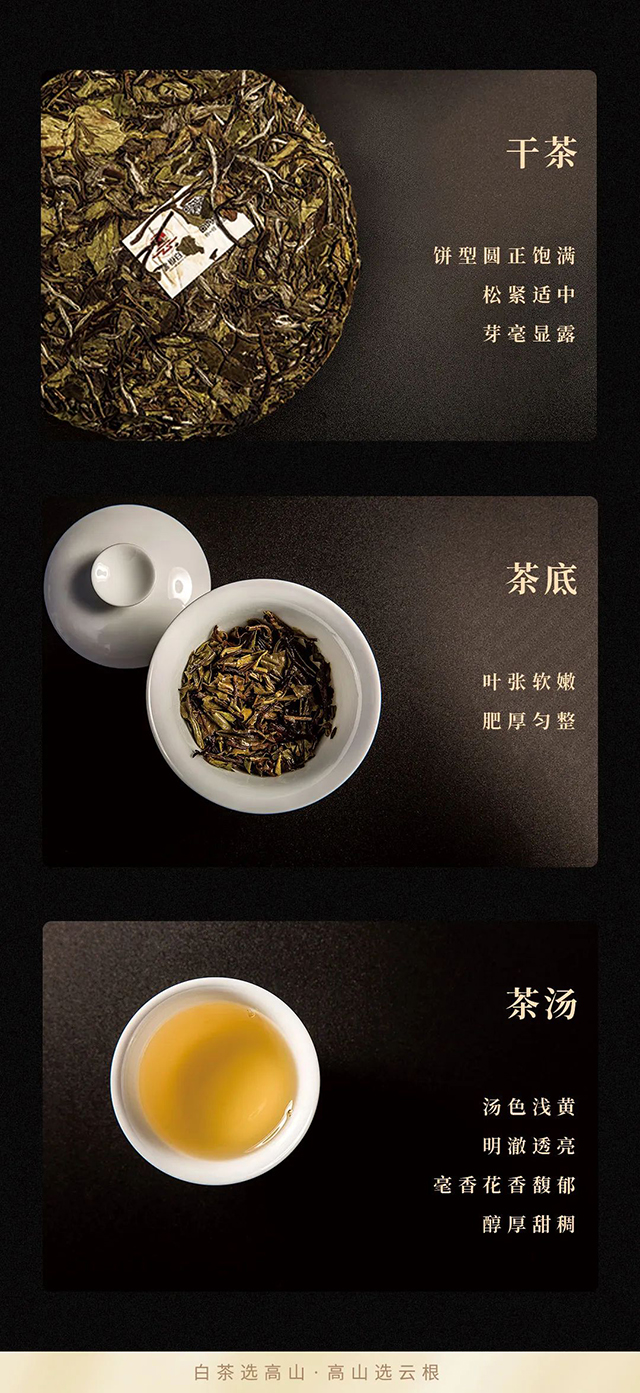 云根茶业云根白茶相厚系列茶品品