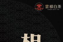 云根茶业云根白茶【相厚】系列