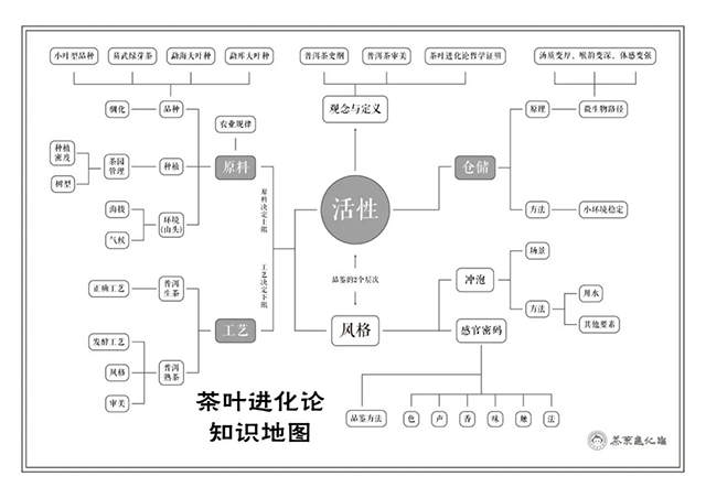 茶叶进化论