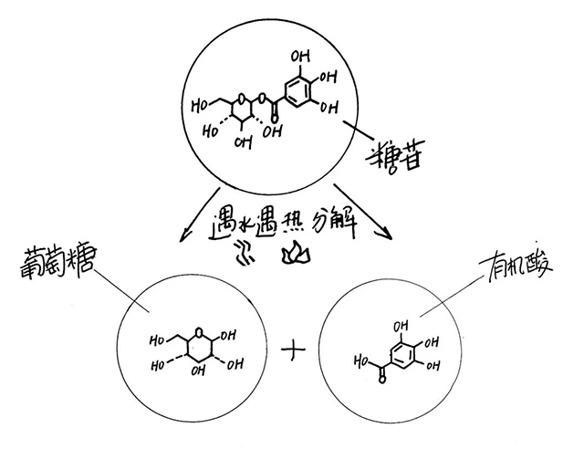 普洱茶糖苷