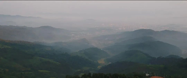 老同志勐海七子饼普洱茶