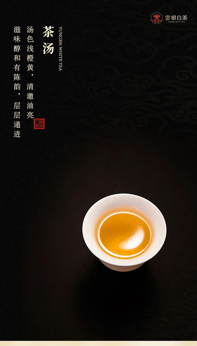 云根白茶2013年高山小野白茶
