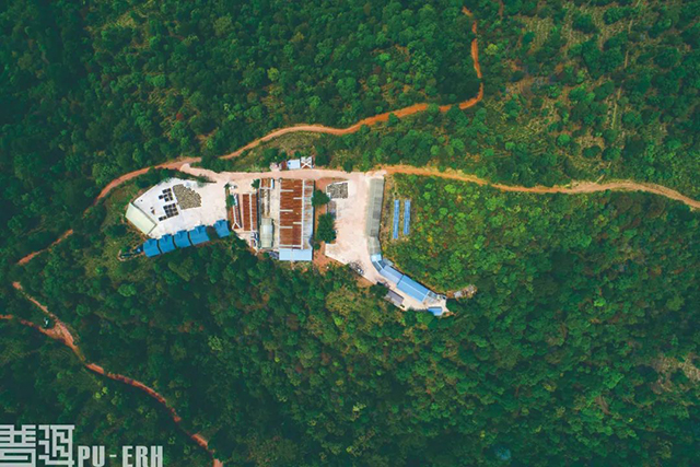 普洱杂志