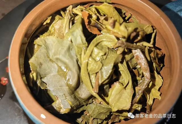 栩月古茶2021年滑竹梁子普洱茶