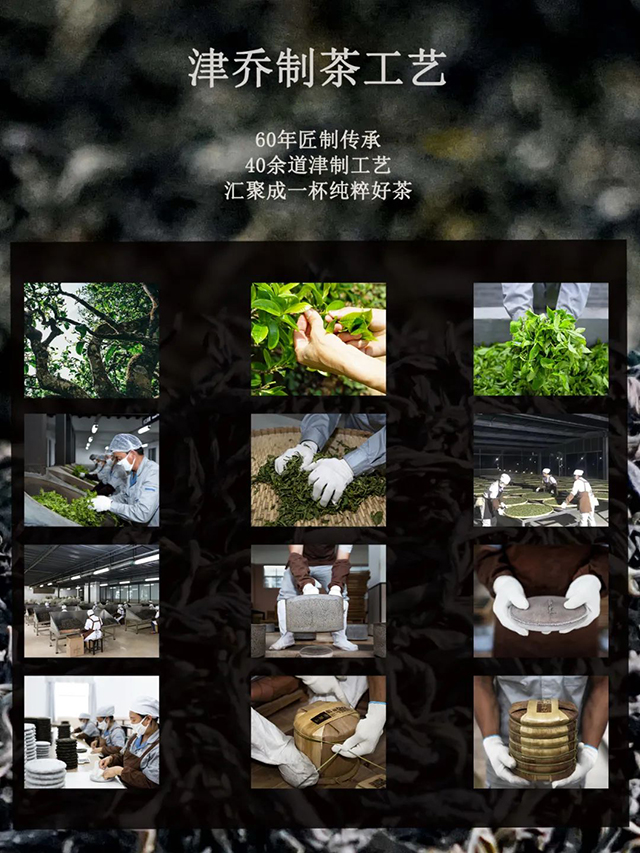 津乔普洱茶