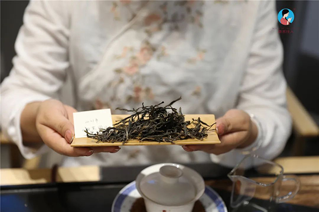 南茗佳人品鉴会