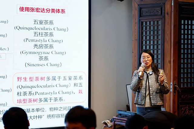 云南中茶茶业有限公司总经理助理产品研发部总经理魏珍珍