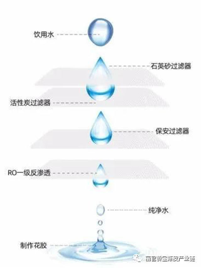 侨宝陈皮即食花胶