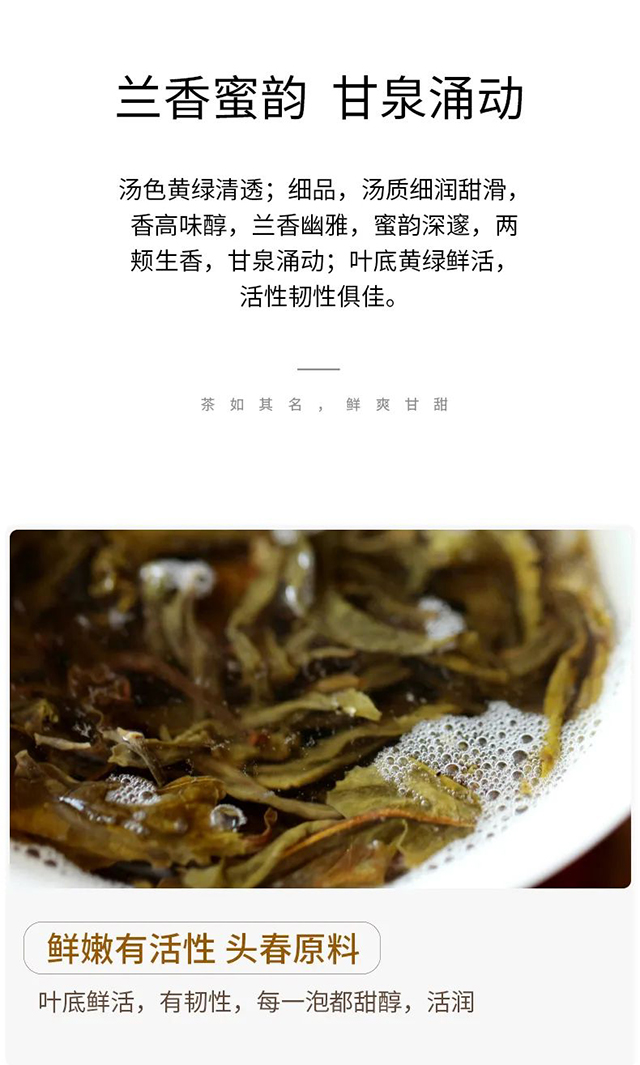 荣瑞祥冰岛五寨普洱茶