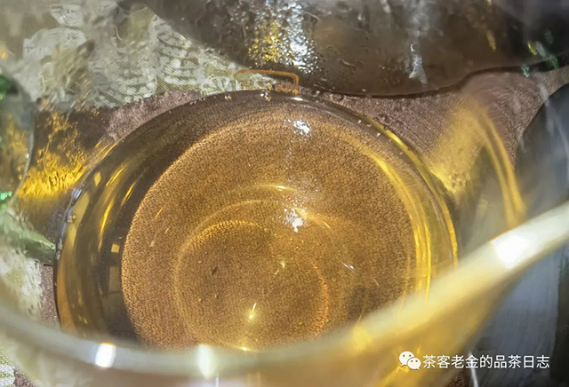 茶人壹树枼2022年林中茶语普洱茶