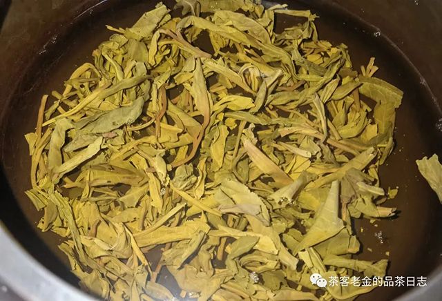 茶人壹树枼2022年林中茶语普洱茶